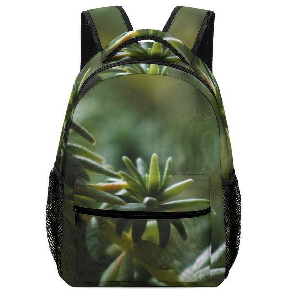 yanfind Children's Backpack Abies Plant Pictures Grey Tree Fir Succulent Bokeh Yew Conifer Preschool Nursery Travel Bag