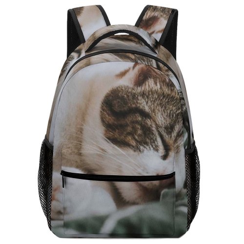 yanfind Children's Backpack Nose Pet Rest Creative Tiny Ear Bed Pictures Cute Kitten Grey Preschool Nursery Travel Bag