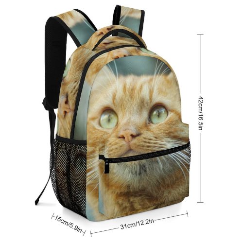 yanfind Children's Backpack Young Pet Outdoors Kitten Portrait Tabby Whiskers Cute Little Adorable Cat Preschool Nursery Travel Bag