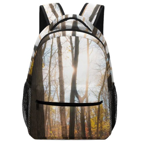 yanfind Children's Backpack  Light Sunlight Plant Tree Forest Vegetation Land Outdoors Woodland  Trunk Preschool Nursery Travel Bag