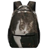 yanfind Children's Backpack Funny Curiosity Sit Cute Cat Baby Little  Portrait Kitten Pet Whisker Preschool Nursery Travel Bag