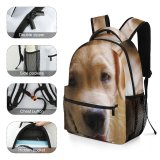 yanfind Children's Backpack Dog Pet Free Pictures Stock Golden Images Preschool Nursery Travel Bag