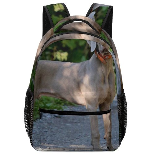 yanfind Children's Backpack Dog Pet Wallpapers Pictures Pointer Hound Grey Creative Images Commons Preschool Nursery Travel Bag