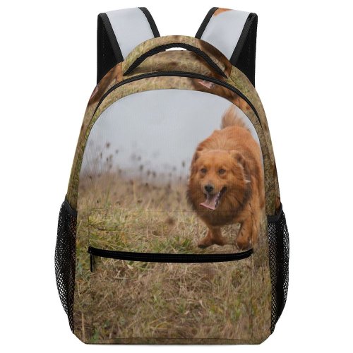yanfind Children's Backpack Dog Field Autumn Vertebrate Canidae Carnivore Sporting Scotia Duck Tolling Wildlife Grass Preschool Nursery Travel Bag