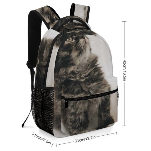 yanfind Children's Backpack Young Pet Funny Kitten Portrait Tabby Curiosity Cute Little Sit  Whisker Preschool Nursery Travel Bag