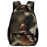 yanfind Children's Backpack Butterfly Insect Invertebrate Bee Honey Monarch Beauty Creature  Birds Grey Preschool Nursery Travel Bag