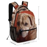 yanfind Children's Backpack Dog Pet Wallpapers Free Pictures Purple Images Preschool Nursery Travel Bag