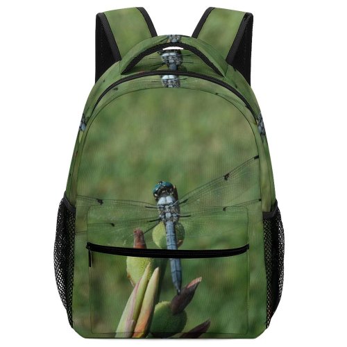 yanfind Children's Backpack Instect Insect Dragonflies Damseflies Net Winged Insects Damselfly Invertebrate Grass Family Preschool Nursery Travel Bag