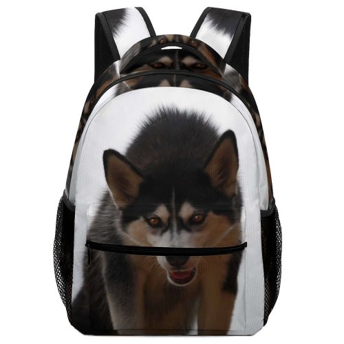 yanfind Children's Backpack Dog Pet Vertebrate Canidae Carnivore Sakhalin Wolfdog Preschool Nursery Travel Bag