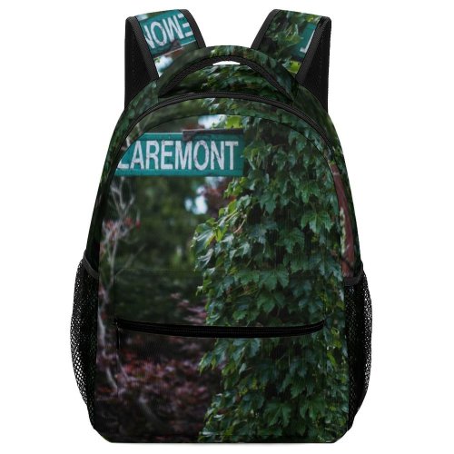 yanfind Children's Backpack Boston Plant Claremont Street United States Conifer Flora Tree Foliage Leaves Leaf Preschool Nursery Travel Bag