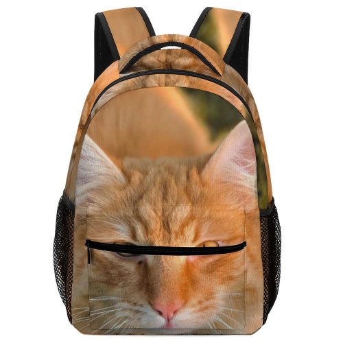 yanfind Children's Backpack Images Abyssinian Domain Cat Plant Pictures Pet Public Manx Preschool Nursery Travel Bag