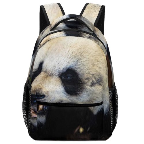 yanfind Children's Backpack Bamboo Giant Dog Wildlife Wallpapers Panda  Images Usa Pictures Preschool Nursery Travel Bag