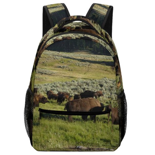 yanfind Children's Backpack Cattle Cow Field Grassland Outdoors Countryside Farm Meadow Rural Lamar Valley Wyoming Preschool Nursery Travel Bag