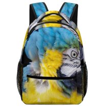 yanfind Children's Backpack Birds Macaw Parrot Coton Manor Gardens United  Feathers Beak  Wild Preschool Nursery Travel Bag