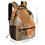yanfind Children's Backpack Images Abyssinian Domain Cat Plant Pictures Pet Public Manx Preschool Nursery Travel Bag