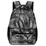 yanfind Children's Backpack Grey Pet Kitten Portrait Tabby Cute Little Staring Furry Cat  Whisker Preschool Nursery Travel Bag