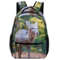 yanfind Children's Backpack Outdoors Cute Deer Fall Park Nara Autumn Japan Wildlife Season Preschool Nursery Travel Bag