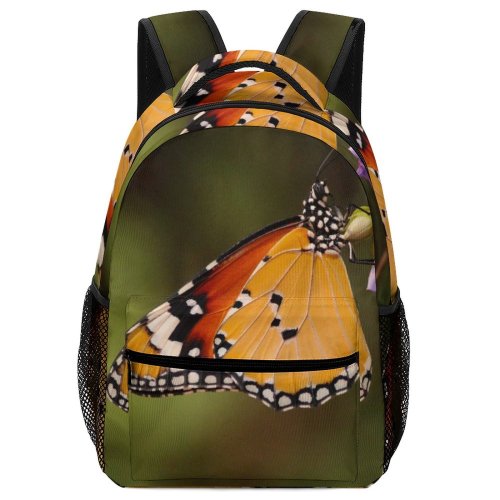 yanfind Children's Backpack Butterfly Insect Invertebrate Monarch Tirupati Andhra Pradesh India Lamp Photooftheday Daytime Time Preschool Nursery Travel Bag