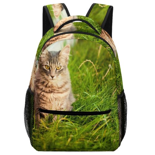 yanfind Children's Backpack Grass Pet Funny Outdoors Kitten Portrait Field Cute Little Cat  Whisker Preschool Nursery Travel Bag