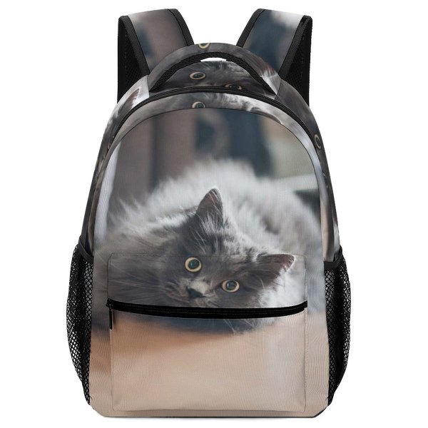 yanfind Children's Backpack Funny Curiosity Sit Cute Baby Young  Family Kitten Whisker Fur Portrait Preschool Nursery Travel Bag