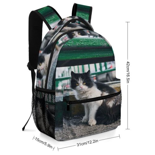 yanfind Children's Backpack Funny Outdoors City Cute Sit Baby Street  Portrait Kitten Pet Dog Preschool Nursery Travel Bag