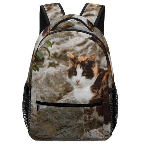 yanfind Children's Backpack Funny Curiosity Outdoors Sit Cute Daylight Cat Little Fall  Portrait Tree Preschool Nursery Travel Bag
