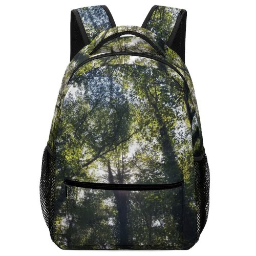 yanfind Children's Backpack Landscape Sunlight Plant Woodland Forest  Pictures Outdoors Jungle Tree Preschool Nursery Travel Bag