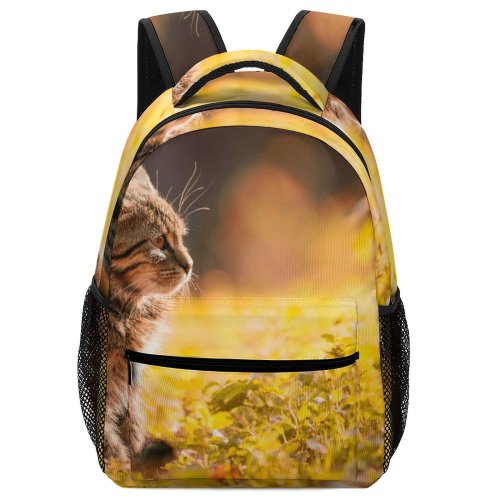 yanfind Children's Backpack Kitty Grass Felidae Kitten Tabby Field Focus Little  Selective Furry Depth Preschool Nursery Travel Bag