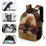 yanfind Children's Backpack Funny Cute Cat Adorable Tabby Kitty Kitten Pet Whisker Fur Sweet Preschool Nursery Travel Bag
