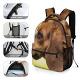yanfind Children's Backpack Images Hound Dog Stock Pictures Beagle Free Pet Preschool Nursery Travel Bag