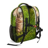 yanfind Children's Backpack Grass Pet Funny Outdoors Kitten Portrait Field Cute Little Cat  Whisker Preschool Nursery Travel Bag