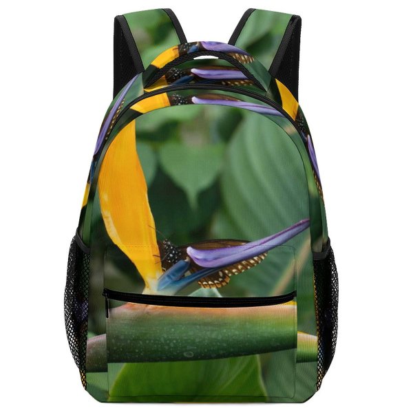 yanfind Children's Backpack Flower Plant   Birds Pollen Beautiful Colourful Wildlife Insect Butterfly Preschool Nursery Travel Bag