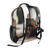 yanfind Children's Backpack  Rough Sleep Dog Cat Little Daylight Beach Sleepy Wildlife Portrait Fur Preschool Nursery Travel Bag