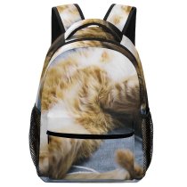 yanfind Children's Backpack Rest Cute Sleep Sleeping Cat Little Adorable Kitten Pet Fur Whiskers Preschool Nursery Travel Bag