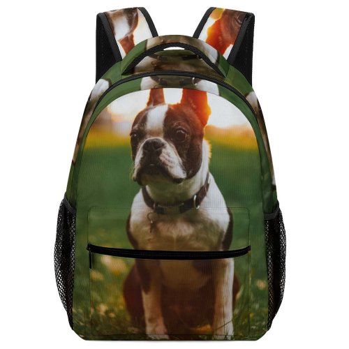 yanfind Children's Backpack Bull Golden Boston Grass Dog Plant Free Fall Stock Wallpapers Autumn Preschool Nursery Travel Bag