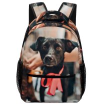 yanfind Children's Backpack Dog Pet  Pictures Strap Den Images Preschool Nursery Travel Bag