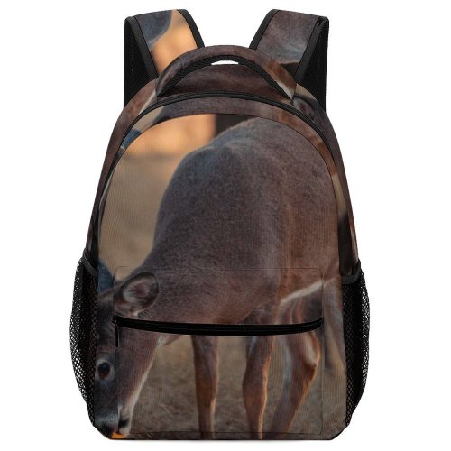 yanfind Children's Backpack Outdoors Reindeer Roe Deer Stag Fall Velvet Buck Fawn Virginia Rut Grass Preschool Nursery Travel Bag