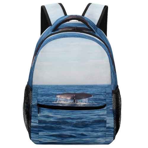 yanfind Children's Backpack Recreation Conservation Pacific Outdoors Scenic Habitat Underwater Sunny Fish Freedom Interaction Wildlife Preschool Nursery Travel Bag