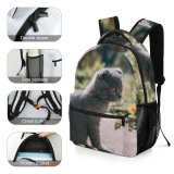yanfind Children's Backpack Pet Outdoors Felidae Tabby Whiskers Outside Field Cute Focus  Adorable Furry Preschool Nursery Travel Bag