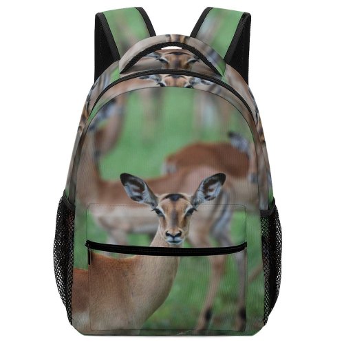 yanfind Children's Backpack Outdoors Impala Deer  Gazelle Antelope Grass Herbivore Fur Wild Wildlife Preschool Nursery Travel Bag