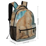 yanfind Children's Backpack Young Pet Funny Kitten Portrait Curiosity Cute Staring Wait Sit Cat Preschool Nursery Travel Bag
