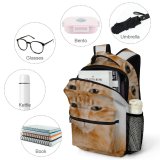 yanfind Children's Backpack Funny Curiosity Sit Cute Little Young  Portrait Staring Kitten Pet Whisker Preschool Nursery Travel Bag