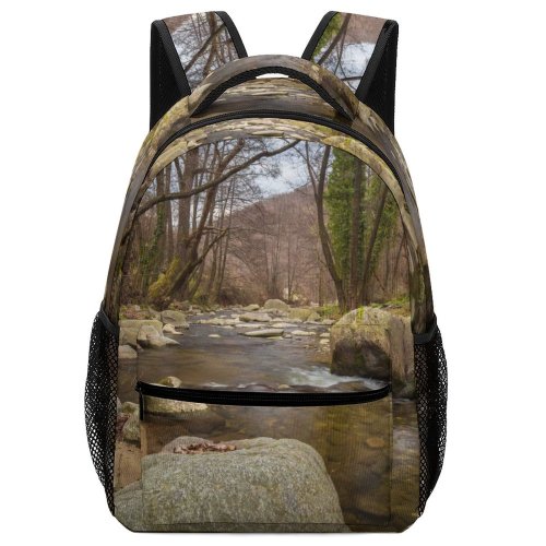 yanfind Children's Backpack Beautiful Forest Boulders Landscape Travel Rainforest River  Outdoors Scenic Flow Woods Preschool Nursery Travel Bag