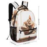 yanfind Children's Backpack Kitty Pet Felidae Tabby Field Cute Focus  Adorable Furry Depth Sit Preschool Nursery Travel Bag