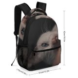 yanfind Children's Backpack Creative Images Cat Pictures Wallpapers Pet Grey Kitten Commons Preschool Nursery Travel Bag