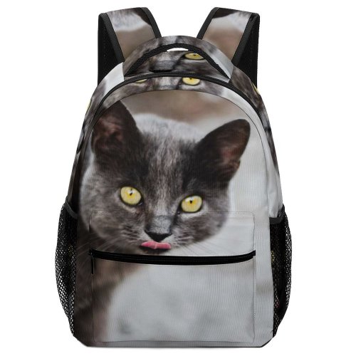 yanfind Children's Backpack Outdoors Cat Eyes Face Grey Fur Whiskers Daytime Wildlife Preschool Nursery Travel Bag