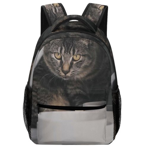 yanfind Children's Backpack Funny Sit Cute Fur Young  Room Family Furniture Pet Portrait Preschool Nursery Travel Bag