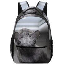 yanfind Children's Backpack Pet Top Felidae From Shot High Furry Above Window Cat Mirror Fur Preschool Nursery Travel Bag