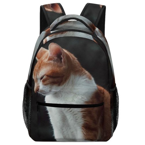 yanfind Children's Backpack Funny Curiosity Outdoors Cute Cat Little  Portrait Staring Pet Whisker Fur Preschool Nursery Travel Bag
