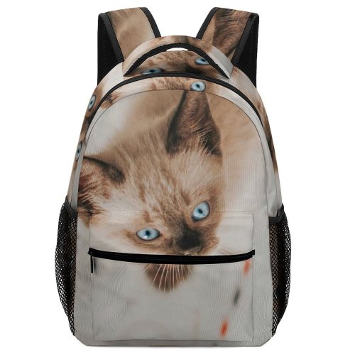 yanfind Children's Backpack Images Eyes Manx Domain Cat Pictures Public Bokeh Portrait Pet Kitten Preschool Nursery Travel Bag